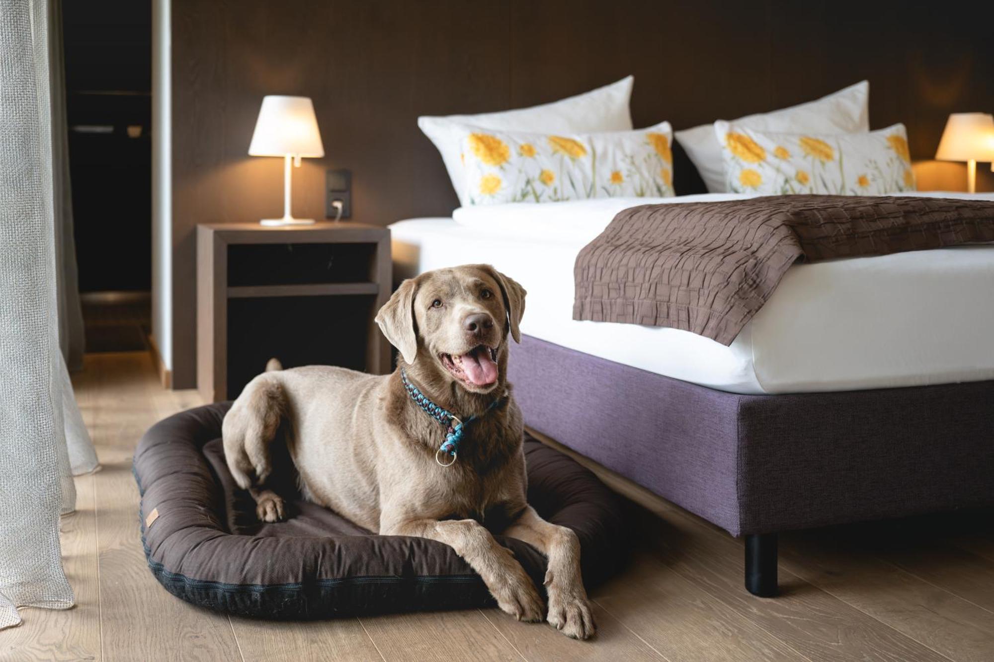 Golfhotel Gut Neuenhof 프론덴베르크 외부 사진